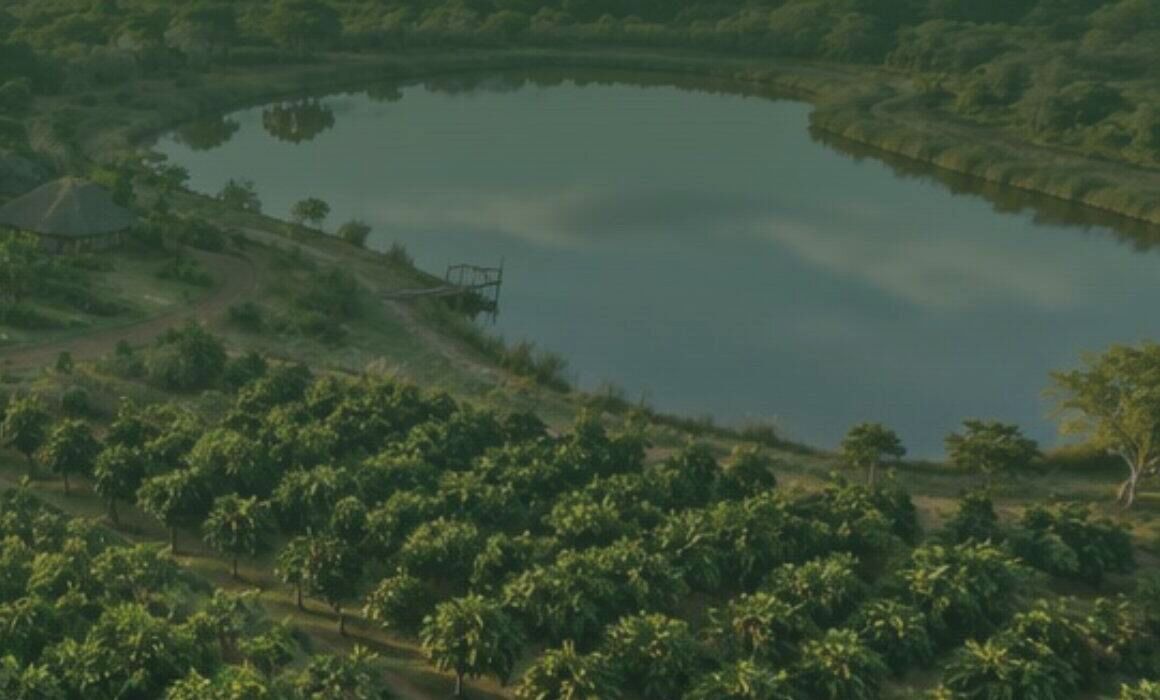 Concept render of the eco-lodge, dam and orchards on the farm site