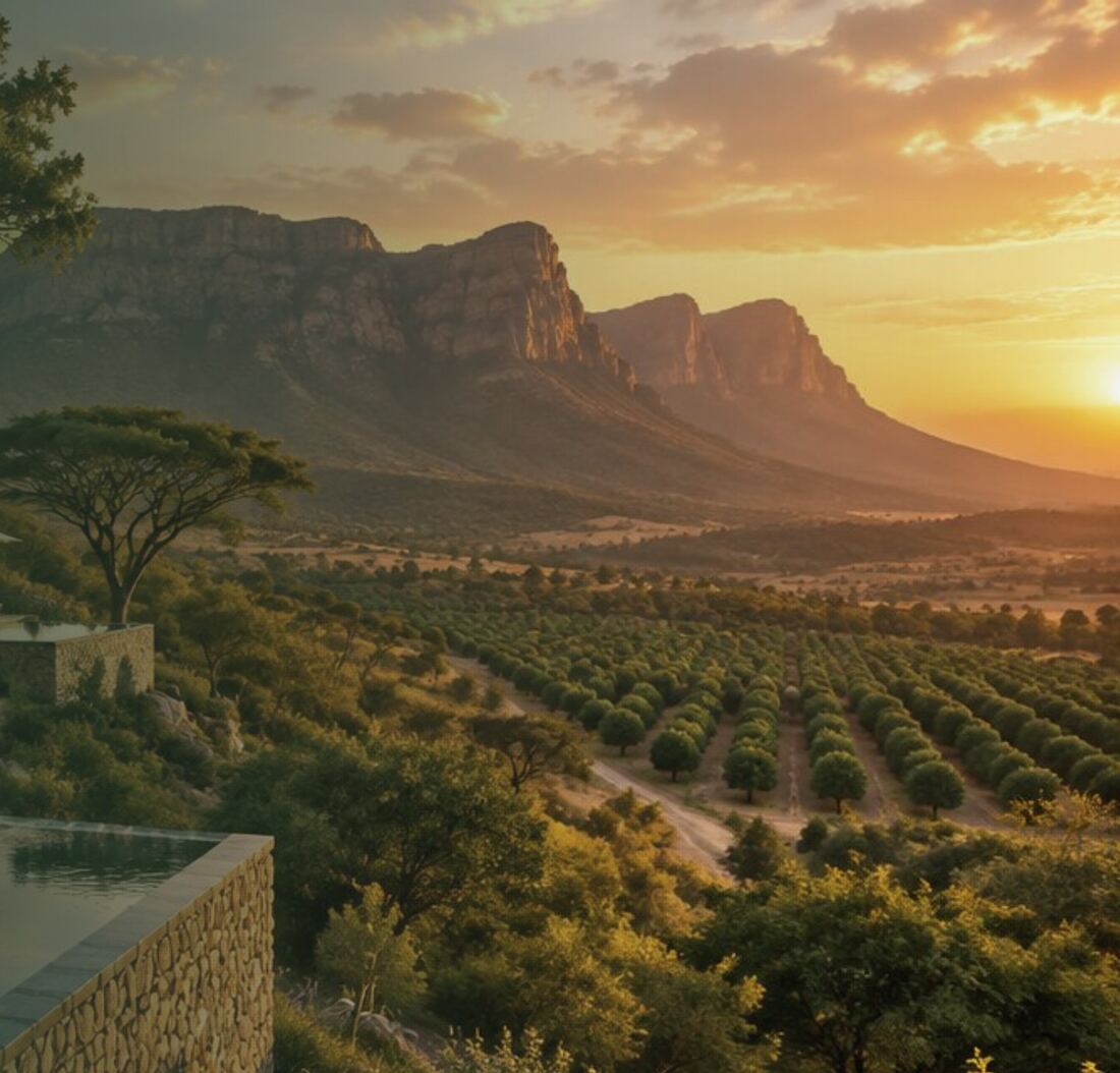 Concept render of the Silla Green Eco Farm orchards and lodge at sunset